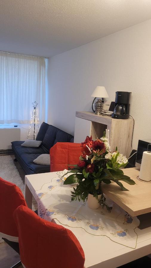 Ryan Apartament Mit Netflix Санкт-Енгльмар Екстер'єр фото